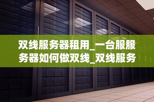 双线服务器租用_一台服服务器如何做双线_双线服务器租用：提升网站性能的关键选择