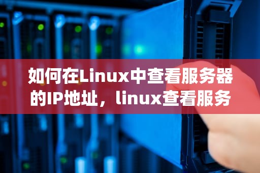 如何在Linux中查看服务器的IP地址，linux查看服务器ip地址