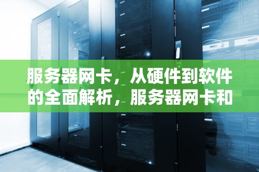 服务器网卡,从硬件到软件的全面解析,服务器网卡和普通网卡区别 服务器网卡,从硬件到软件的全面解析,服务器网卡和普通网卡区别