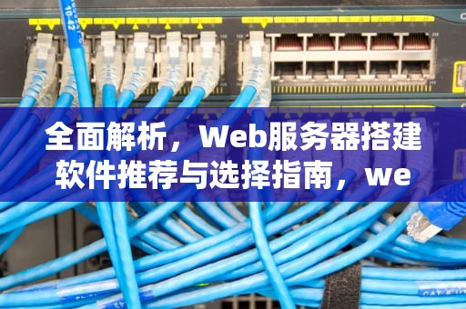 全面解析，Web服务器搭建软件推荐与选择指南，web服务器搭建软件有哪些