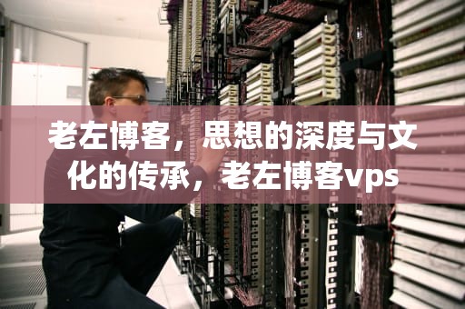 老左博客，思想的深度与文化的传承，老左博客vps