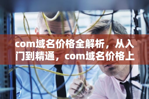 com域名价格全解析，从入门到精通，com域名价格上涨