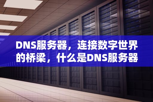 DNS服务器，连接数字世界的桥梁，什么是DNS服务器