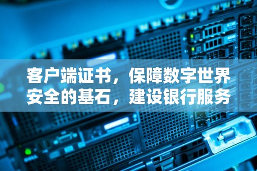 客户端证书，保障数字世界安全的基石，建设银行服务器需要客户端证书