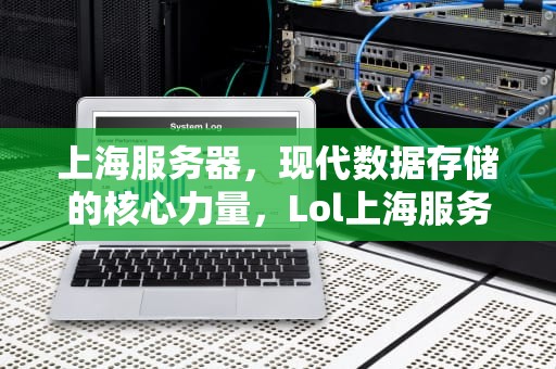 上海服务器，现代数据存储的核心力量，Lol上海服务器