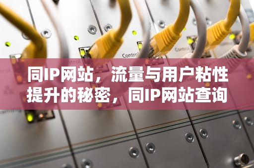 同IP网站，流量与用户粘性提升的秘密，同IP网站查询