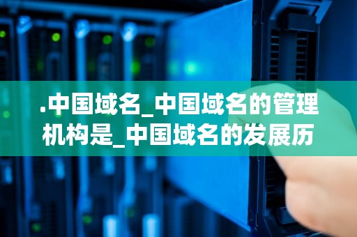 .中国域名_中国域名的管理机构是_中国域名的发展历程与未来展望
