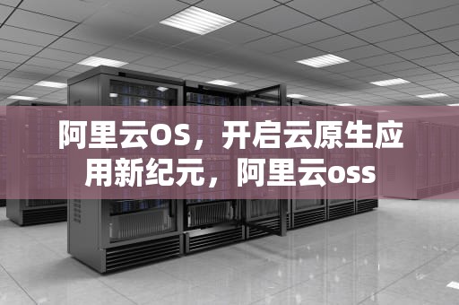 阿里云OS，开启云原生应用新纪元，阿里云oss
