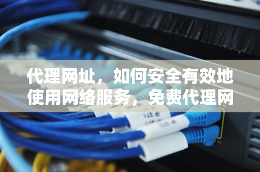 代理网址，如何安全有效地使用网络服务，免费代理网址