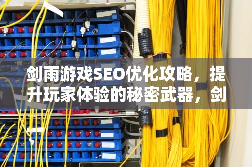 剑雨游戏SEO优化攻略，提升玩家体验的秘密武器，剑雨在线观看完整免费版