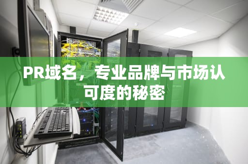 PR域名，专业品牌与市场认可度的秘密