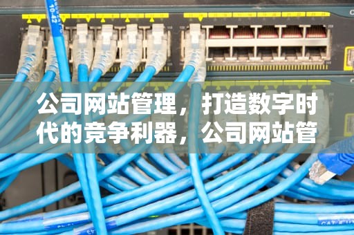 公司网站管理，打造数字时代的竞争利器，公司网站管理制度