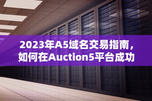 2023年A5域名交易指南，如何在Auction5平台成功投资与交易，a5域名交易平台