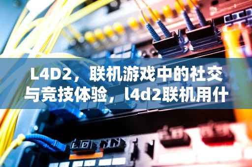 L4D2，联机游戏中的社交与竞技体验，l4d2联机用什么服务器