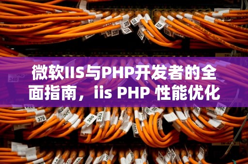 微软IIS与PHP开发者的全面指南，iis PHP 性能优化