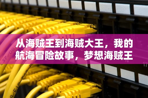 从海贼王到海贼大王，我的航海冒险故事，梦想海贼王无限钻石版