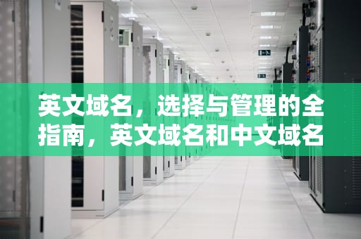 英文域名，选择与管理的全指南，英文域名和中文域名的区别