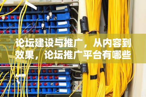 论坛建设与推广，从内容到效果，论坛推广平台有哪些