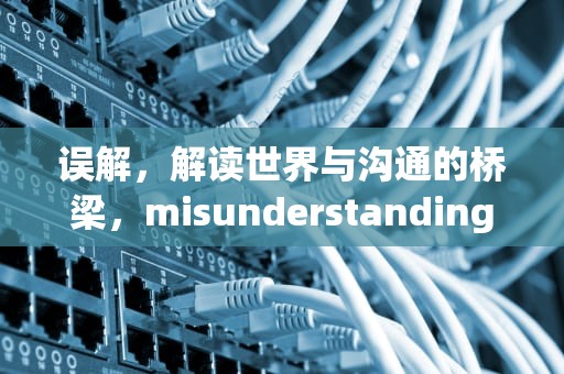 误解，解读世界与沟通的桥梁，misunderstanding可数吗