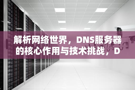 解析网络世界，DNS服务器的核心作用与技术挑战，DNS服务器未响应咋办