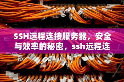 SSH远程连接服务器，安全与效率的秘密，ssh远程连接服务器指令