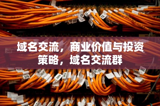 域名交流，商业价值与投资策略，域名交流群