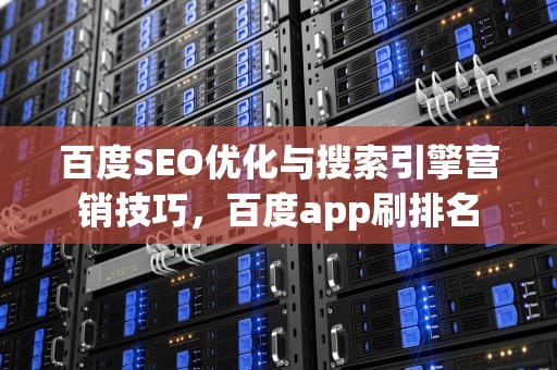 百度SEO优化与搜索引擎营销技巧，百度app刷排名