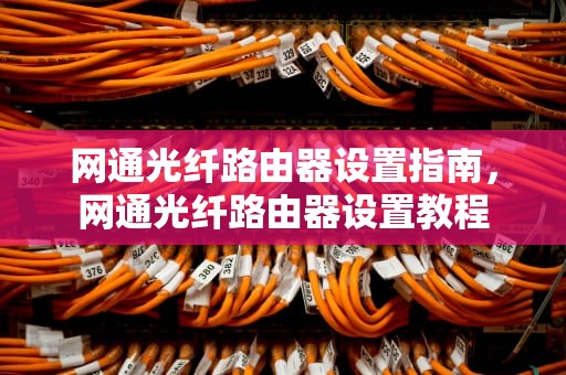 网通光纤路由器设置指南,网通光纤路由器设置教程 网通光纤路由器设置指南,网通光纤路由器设置教程