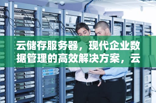 云储存服务器，现代企业数据管理的高效解决方案，云储存服务器在哪里
