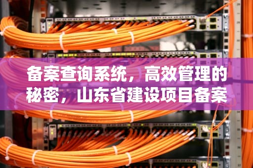 备案查询系统，高效管理的秘密，山东省建设项目备案查询系统