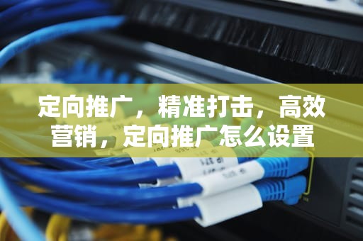 定向推广，精准打击，高效营销，定向推广怎么设置