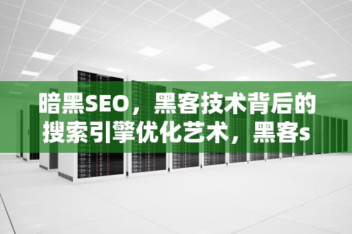 暗黑SEO，黑客技术背后的搜索引擎优化艺术，黑客seeker