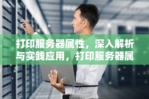 打印服务器属性，深入解析与实践应用，打印服务器属性怎么设置