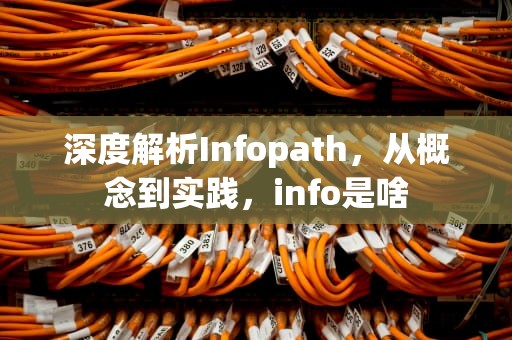 深度解析Infopath，从概念到实践，info是啥
