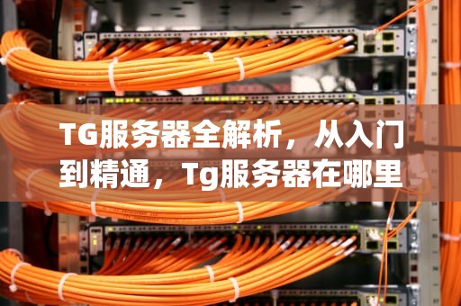 TG服务器全解析,从入门到精通,Tg服务器在哪里 TG服务器全解析,从入门到精通,Tg服务器在哪里