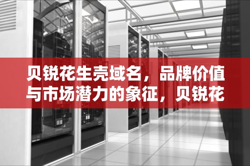 贝锐花生壳域名，品牌价值与市场潜力的象征，贝锐花生壳域名管理