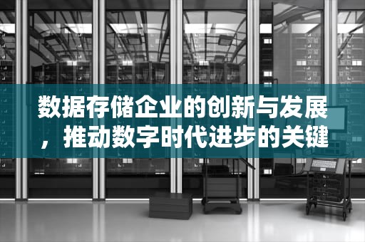 数据存储企业的创新与发展，推动数字时代进步的关键力量，数据存储企业排行榜