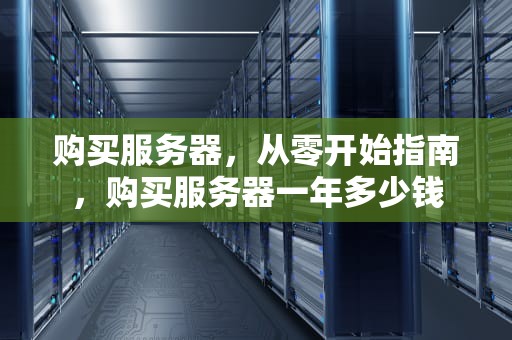 购买服务器，从零开始指南，购买服务器一年多少钱