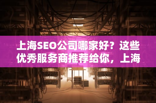 上海SEO公司哪家好？这些优秀服务商推荐给你，上海SEO公司哪家好