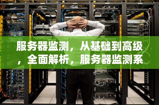 服务器监测，从基础到高级，全面解析，服务器监测系统