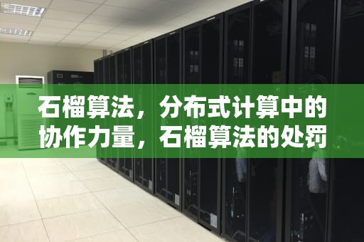 石榴算法，分布式计算中的协作力量，石榴算法的处罚