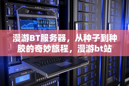 漫游BT服务器，从种子到种胶的奇妙旅程，漫游bt站