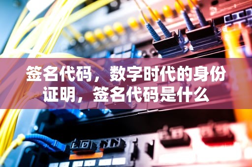 签名代码，数字时代的身份证明，签名代码是什么