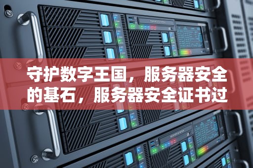 守护数字王国，服务器安全的基石，服务器安全证书过期怎么处理