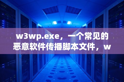 w3wp.exe，一个常见的恶意软件传播脚本文件，w3wp.exe是什么程序