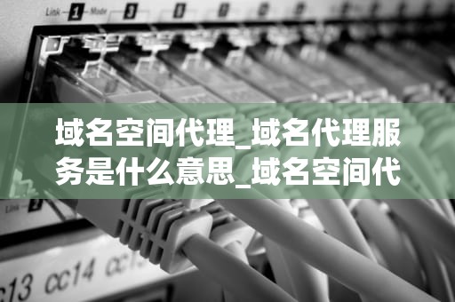 域名空间代理_域名代理服务是什么意思_域名空间代理——互联网时代的关键技术