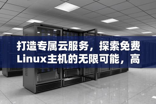 打造专属云服务，探索免费Linux主机的无限可能，高端免费linux主机