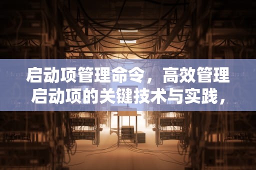 启动项管理命令，高效管理启动项的关键技术与实践，启动项的命令