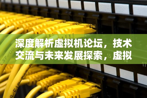 深度解析虚拟机论坛，技术交流与未来发展探索，虚拟机论坛命运方舟