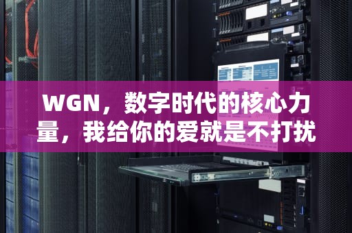 WGN，数字时代的核心力量，我给你的爱就是不打扰原唱